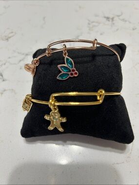 Two Alex and Ani Bracelet adjustable bracelets